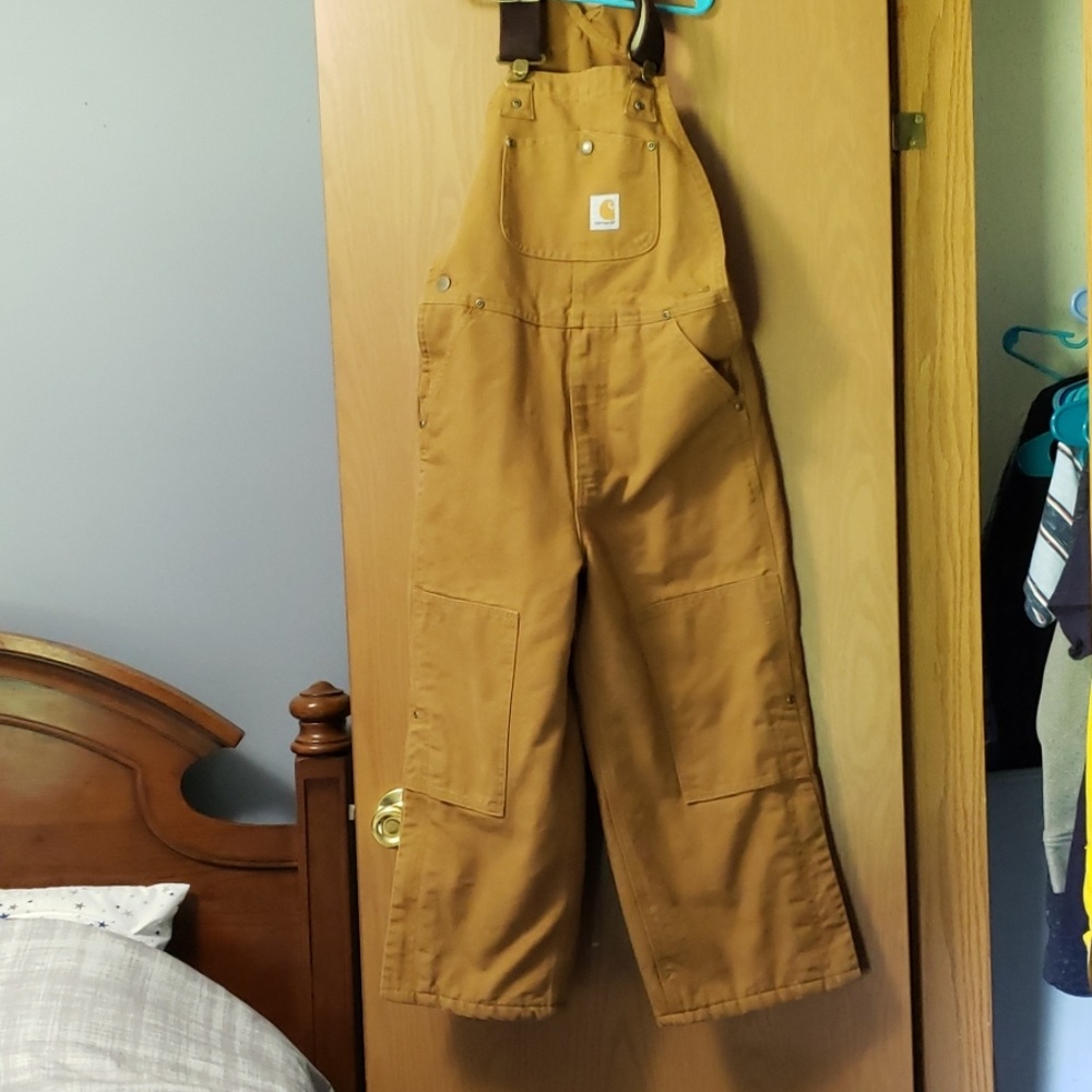 Carhartt Lined Bibs